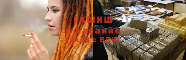 прущие грибы Михайлов