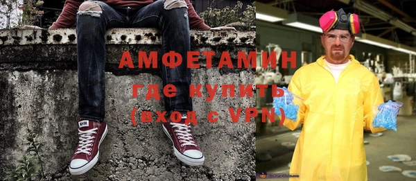 прущие грибы Михайлов