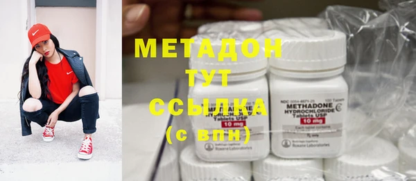 прущие грибы Михайлов