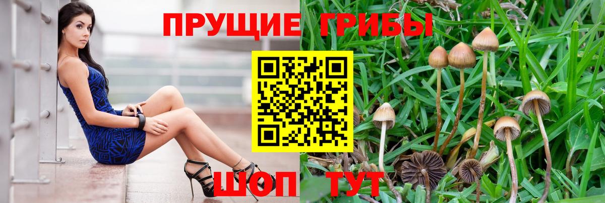 Галлюциногенные грибы мухоморы  Псилоцибиновые грибы Cubensis  Вход с VPN  Ухта 